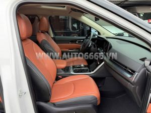 Xe Kia Carnival Signature 2.2D 2024