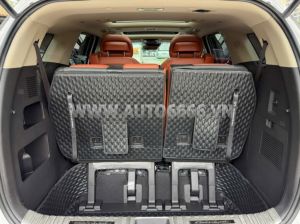 Xe Kia Carnival Signature 2.2D 2024