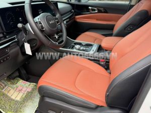 Xe Kia Carnival Signature 2.2D 2024