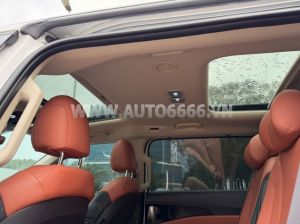 Xe Kia Carnival Signature 2.2D 2024