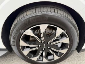 Xe Kia Carnival Signature 2.2D 2024