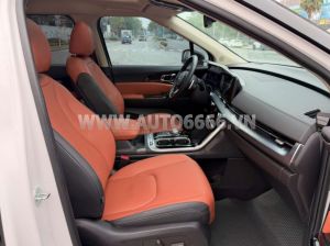 Xe Kia Carnival Signature 2.2D 2024