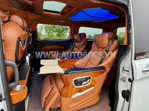 Xe Ford Tourneo Limousine Titanium 2.0 AT 2021