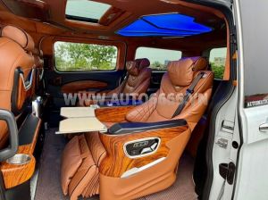 Xe Ford Tourneo Limousine Titanium 2.0 AT 2021