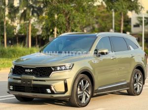Xe Kia Sorento Signature 2.2 AT AWD 2024