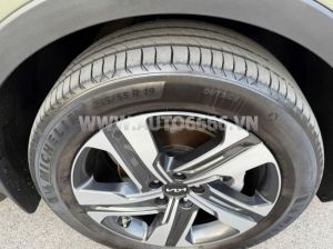 Xe Kia Sorento Signature 2.2 AT AWD 2024