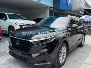 Xe Honda CRV L 2025