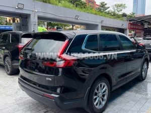 Xe Honda CRV L 2025