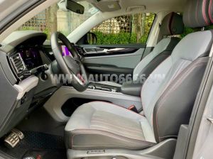 Xe Volkswagen Teramont X Platinum 2.0 AT 2024